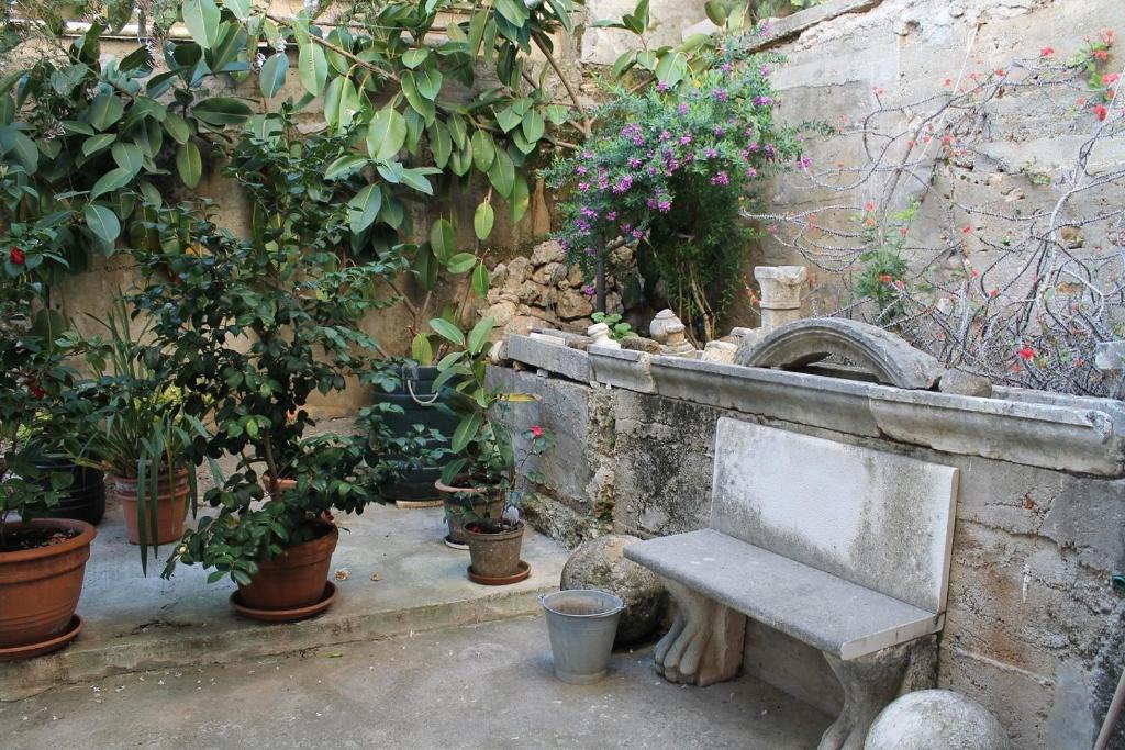 Tina Apartments Dubrovnik Rum bild