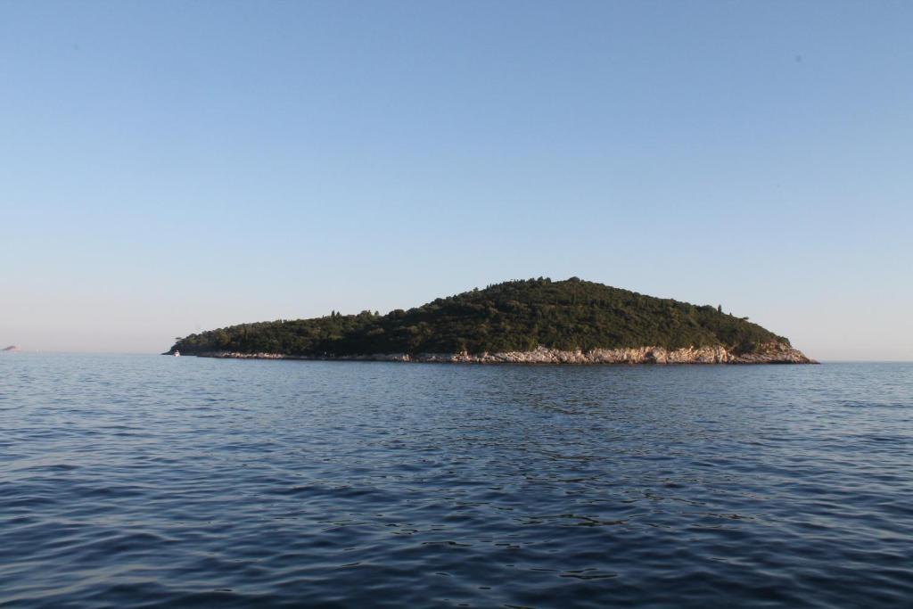 Tina Apartments Dubrovnik Rum bild